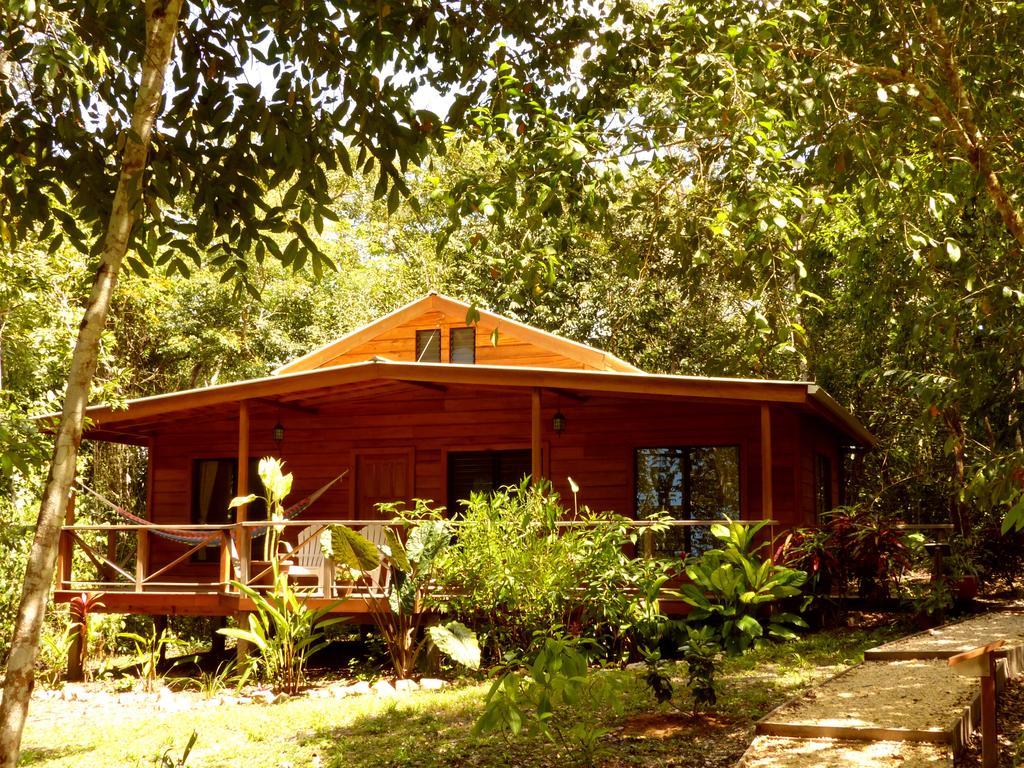 Vanilla Hills Resort San Ignacio Quarto foto
